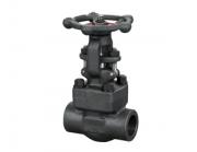 鍛鋼閘閥的顏色為什么通常都是黑色的呢？